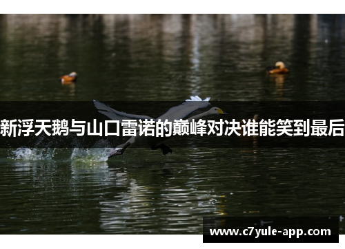 新浮天鹅与山口雷诺的巅峰对决谁能笑到最后